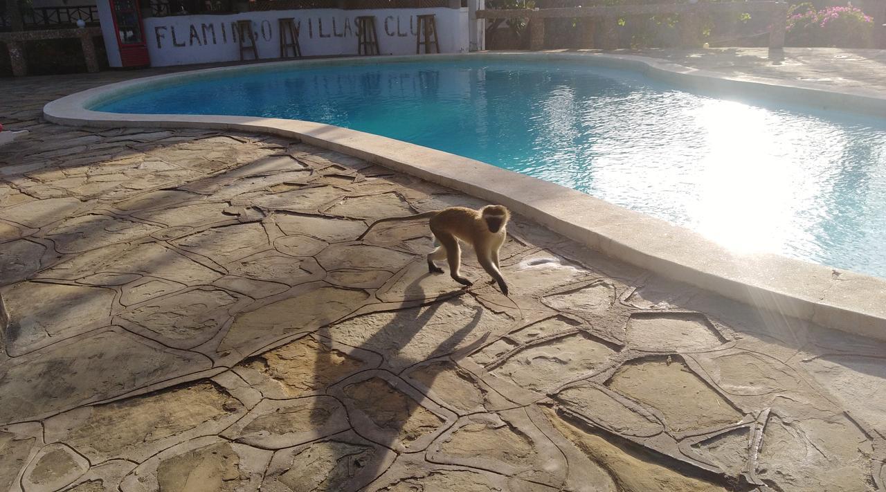 Flamingo Villas Resort Malindi Dış mekan fotoğraf