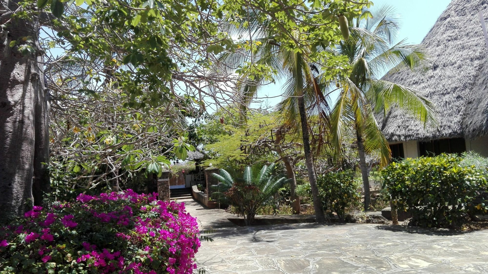 Flamingo Villas Resort Malindi Dış mekan fotoğraf